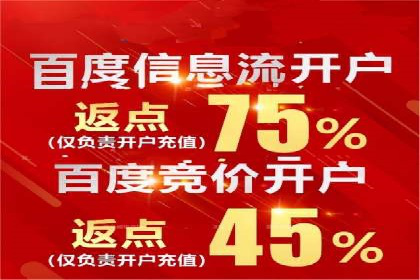 百度竞价排名策略解析及实战案例